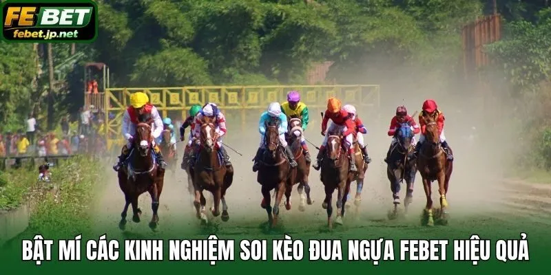 Bật mí các kinh nghiệm soi kèo đua ngựa Febet hiệu quả