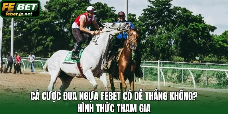 Cá cược đua ngựa Febet có dễ thắng không? Hinh thức tham gia