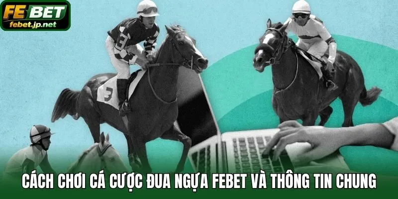 Cách chơi cá cược đua ngựa Febet và thông tin chung
