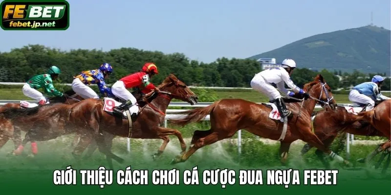 Giới thiệu cách chơi cá cược đua ngựa Febet