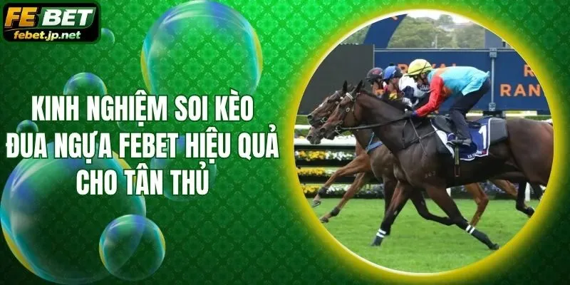 Kinh Nghiệm Soi Kèo Đua Ngựa Febet Hiệu Quả Cho Tân Thủ