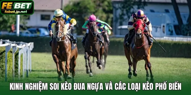 Kinh nghiệm soi kèo đua ngựa và các loại kèo phổ biến