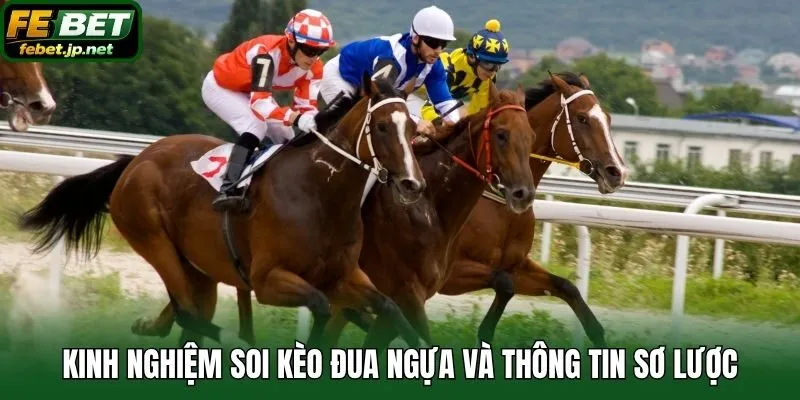 Kinh nghiệm soi kèo đua ngựa và thông tin sơ lược