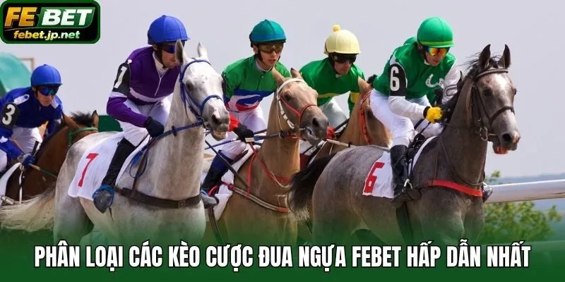Phân loại các kèo cược đua ngựa Febet hấp dẫn nhất