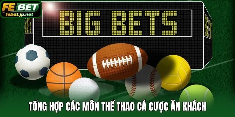 Tổng hợp các môn thể thao cá cược ăn khách