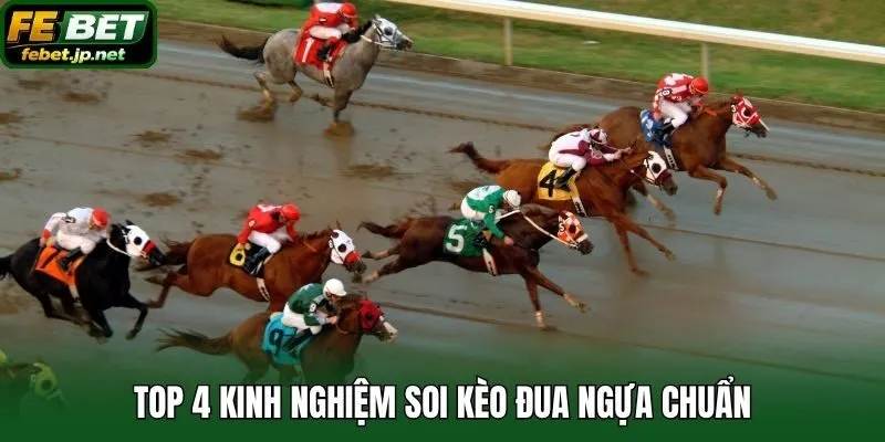Top 4 kinh nghiệm soi kèo đua ngựa chuẩn