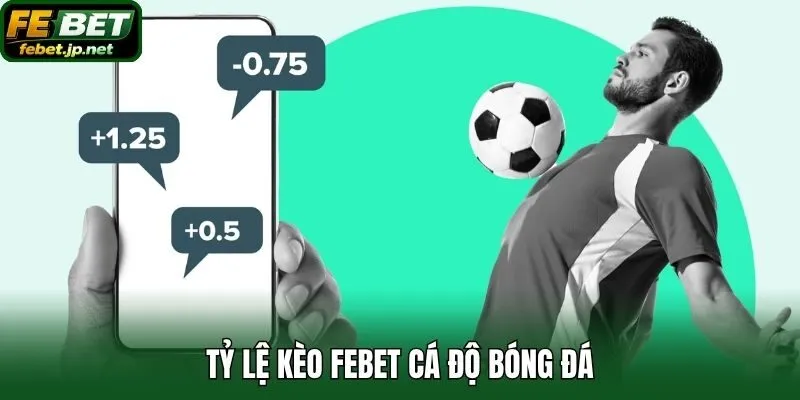 Tỷ lệ kèo Febet cá độ bóng đá